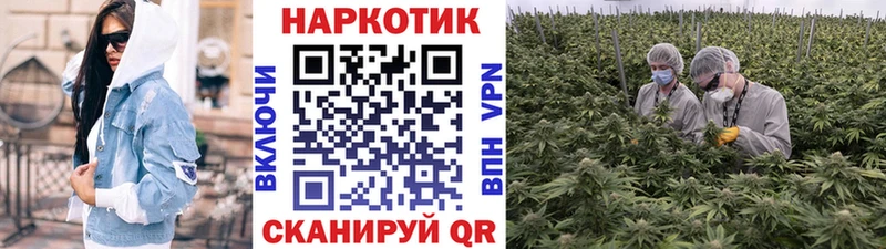 Продажа наркотиков Ковдор Амфетамин COCAIN Альфа ПВП