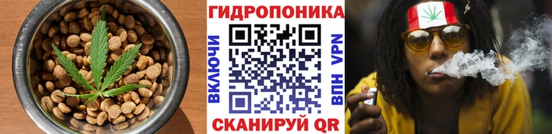 продажа наркотиков  Ковдор  Cannafood конопля 