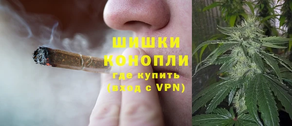 ALPHA PVP Каменка