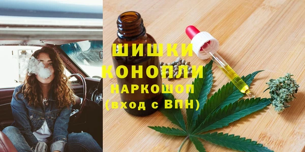 крисы Киренск