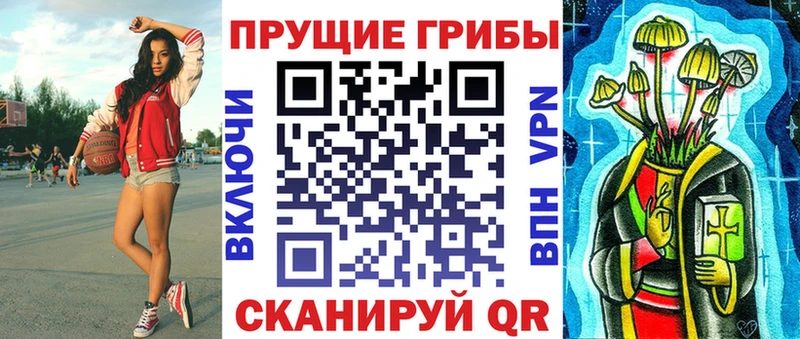 Галлюциногенные грибы Psilocybine cubensis  Ковдор 